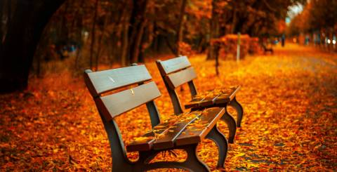 Are Buyers Purchasing homes in Fall or Winter? Are Buyers Purchasing homes in Fall or Winter?